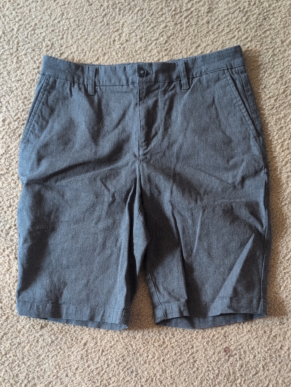 Hawker Rye Men's Casual Gray Shorts Size 29 X11